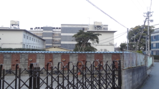 f:id:paffue:20140123222848j:image