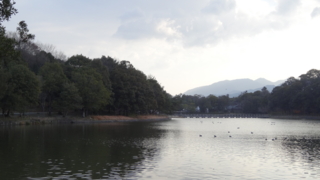 f:id:paffue:20140123230258j:image