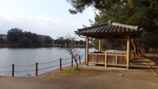 f:id:paffue:20140123230300j:image