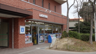 f:id:paffue:20140126085316j:image