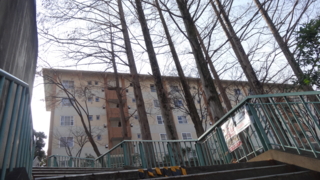 f:id:paffue:20140126085339j:image