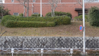 f:id:paffue:20140126085340j:image