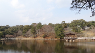 f:id:paffue:20140126195132j:image