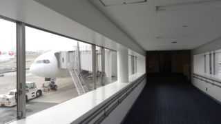 f:id:paffue:20140304002915j:image