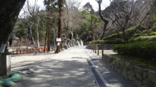 f:id:paffue:20140323214042j:image