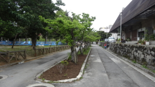 f:id:paffue:20141026093007j:image
