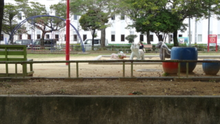 f:id:paffue:20141026093010j:image