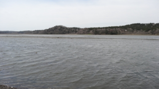 f:id:paffue:20150510191819j:image