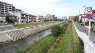 f:id:paffue:20150515204610j:image
