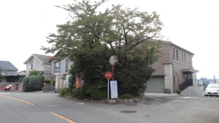 f:id:paffue:20150515204616j:image