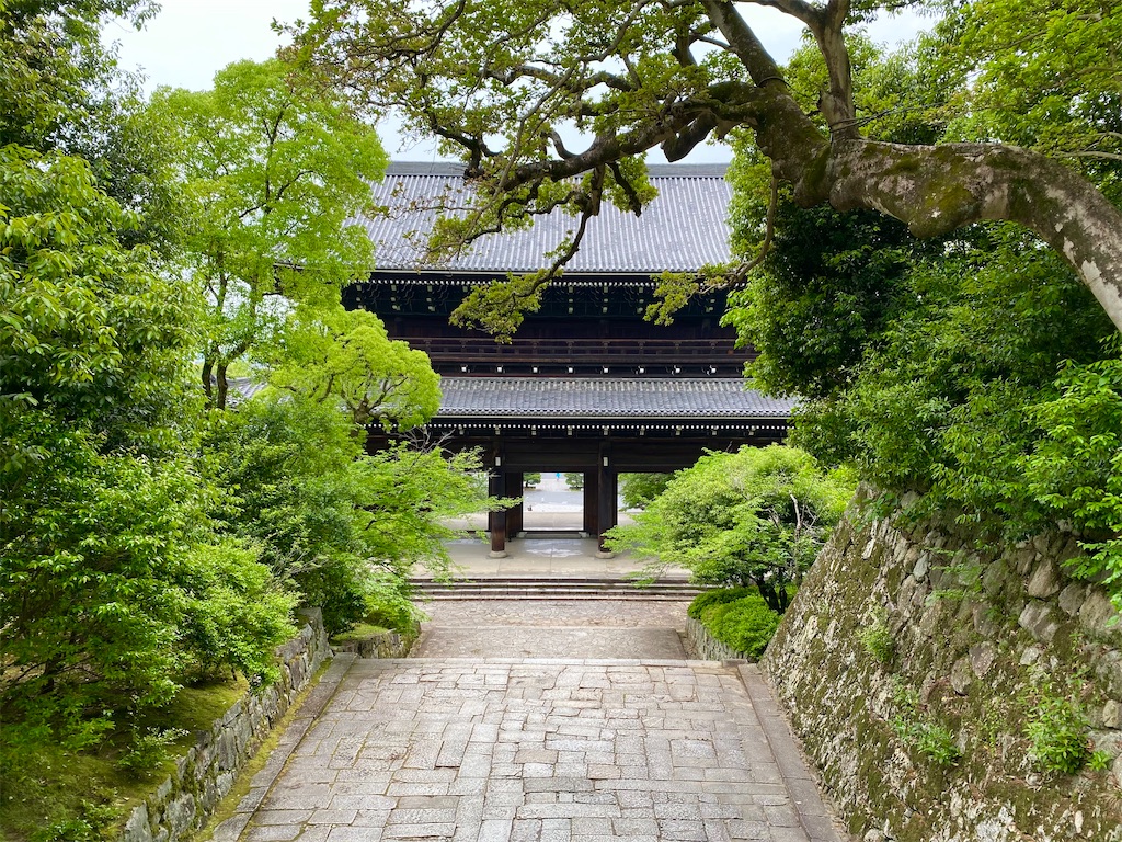 f:id:pagisasan:20220529060417j:image