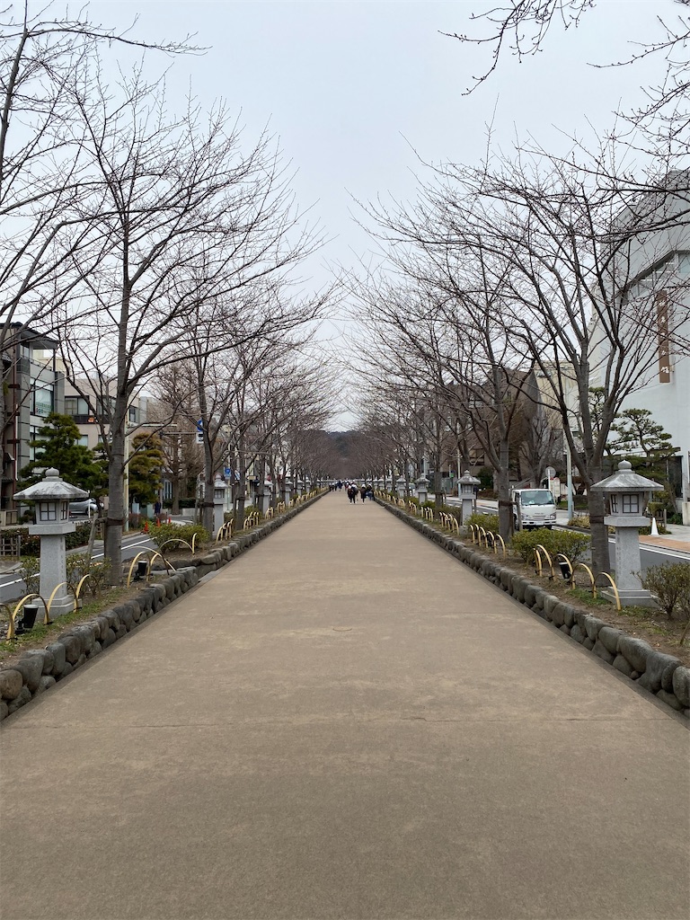 f:id:pagisasan:20230125210740j:image