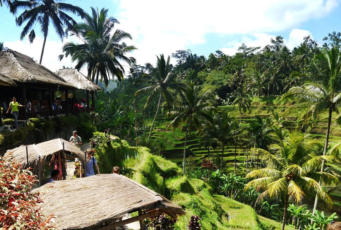 f:id:paisely3121:20200726173913j:plain