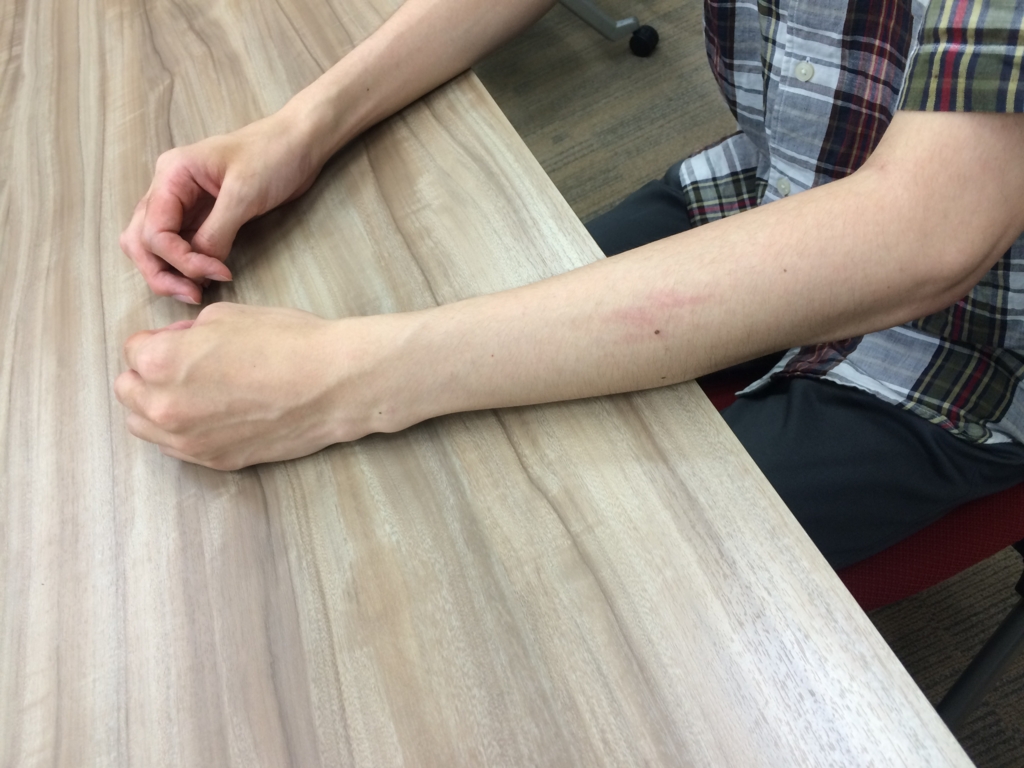 f:id:paiza:20160708162137j:image:w250:left