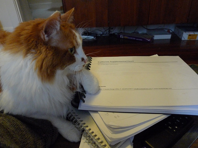 f:id:paiza:20161202183910j:plain f:id:paiza:20161202183910j:plain