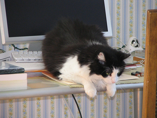 f:id:paiza:20161205151837j:plain