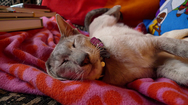 f:id:paiza:20161205152704j:plain f:id:paiza:20161205152704j:plain