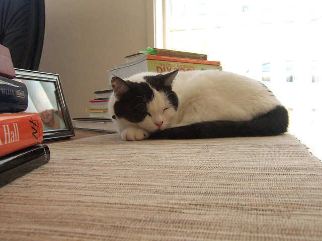 f:id:paiza:20161205210732j:plain f:id:paiza:20161205210732j:plain