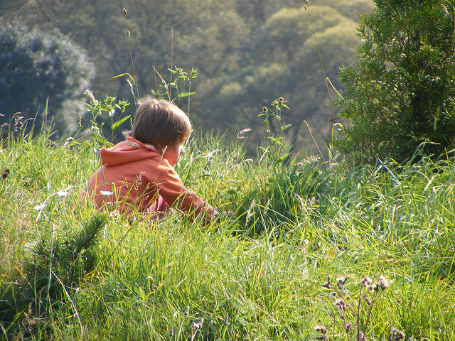 f:id:paiza:20161205212324j:plain