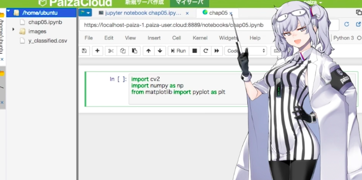 Amazon.co.jp: 自走プログラマー ～Pythonの先輩が教える