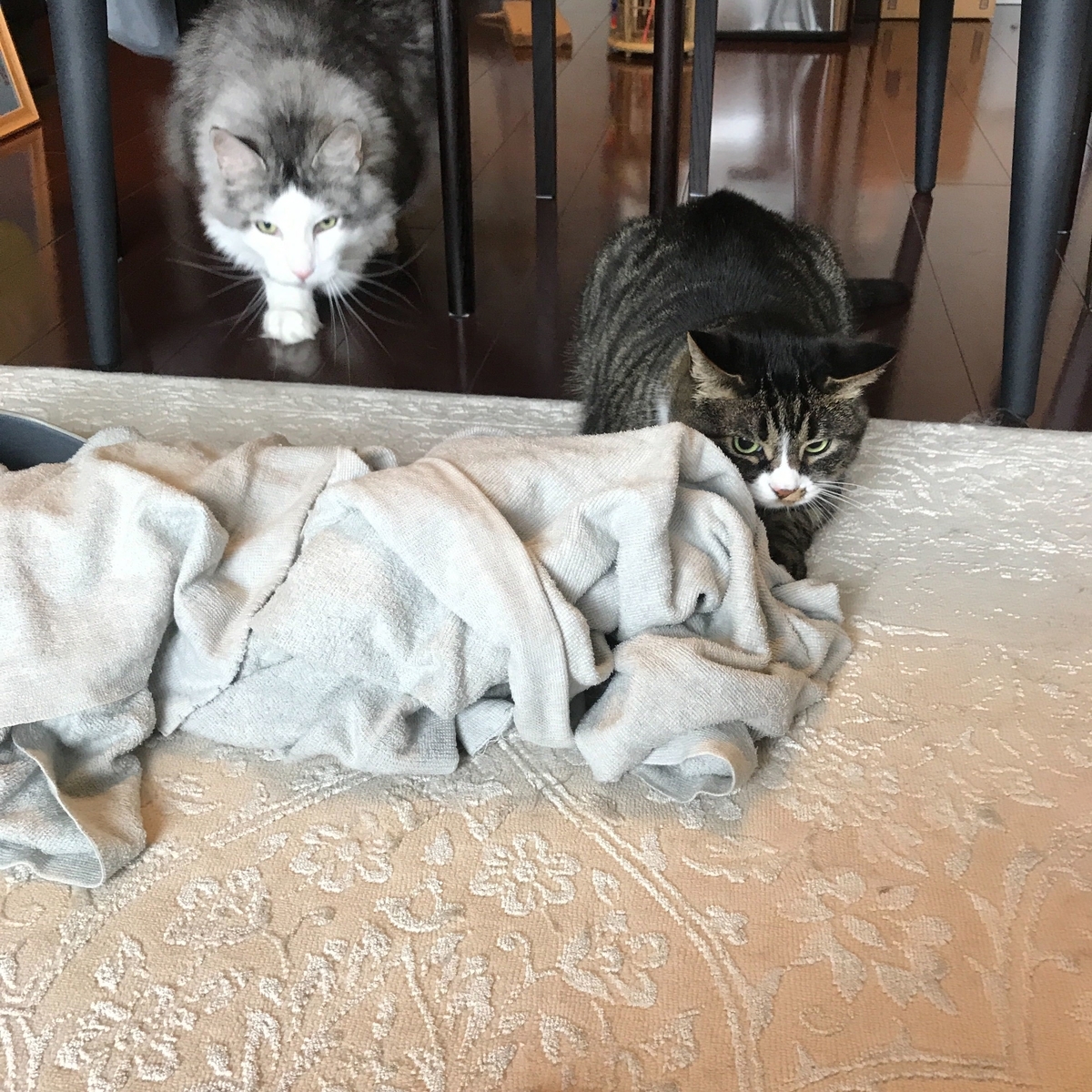 f:id:paiza:20190722121444j:plain:w300 f:id:paiza:20190722121444j:plain:w300