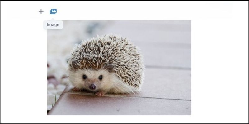 f:id:paiza:20190815115214j:plain f:id:paiza:20190815115214j:plain