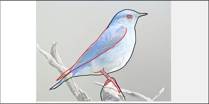 f:id:paiza:20210407115257j:plain