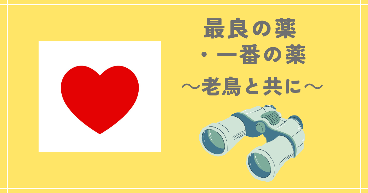 最良の薬・一番の薬 ～老鳥とともに～ - 鳥 つれづれ日記