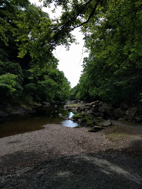 f:id:pakin:20170604231806j:image