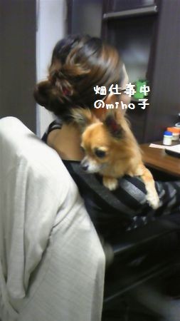 f:id:pakipakii:20111031175039j:image f:id:pakipakii:20111031175039j:image