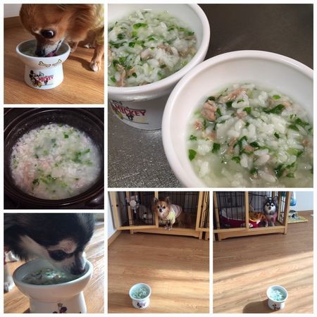 f:id:pakipakii:20160107131433j:image