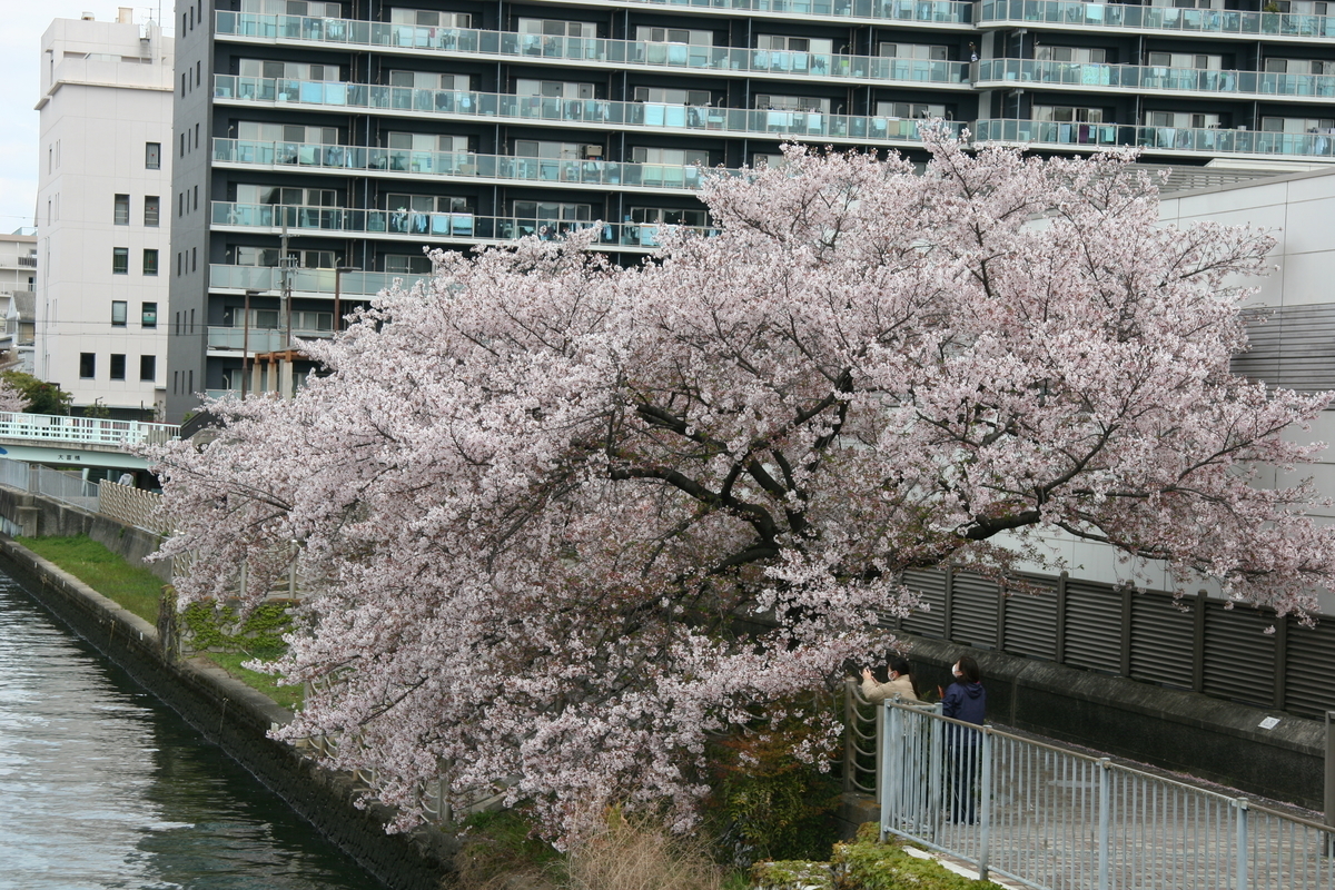 f:id:pakira2:20200411195813j:plain f:id:pakira2:20200411195813j:plain