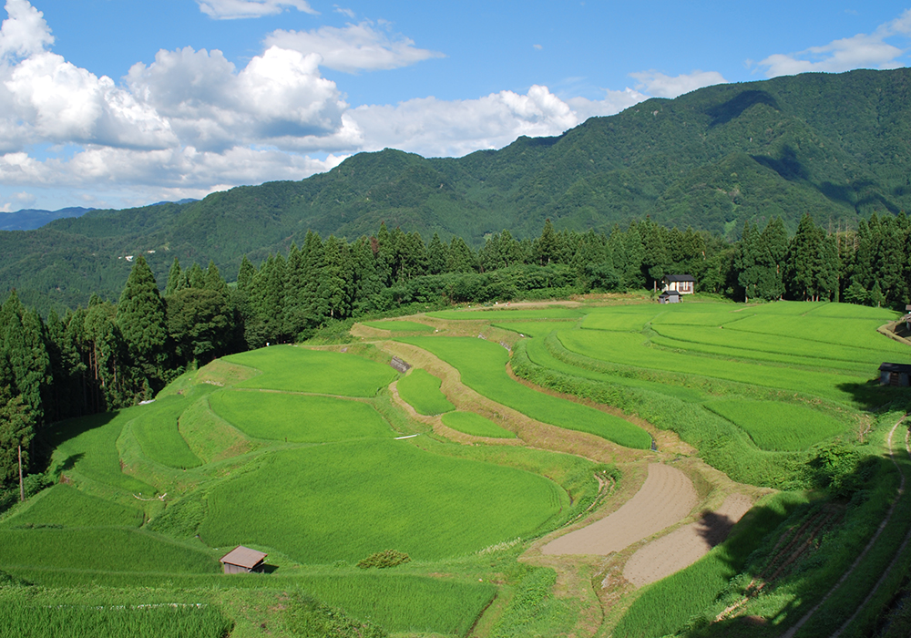 f:id:pakira2:20201113214224j:plain f:id:pakira2:20201113214224j:plain