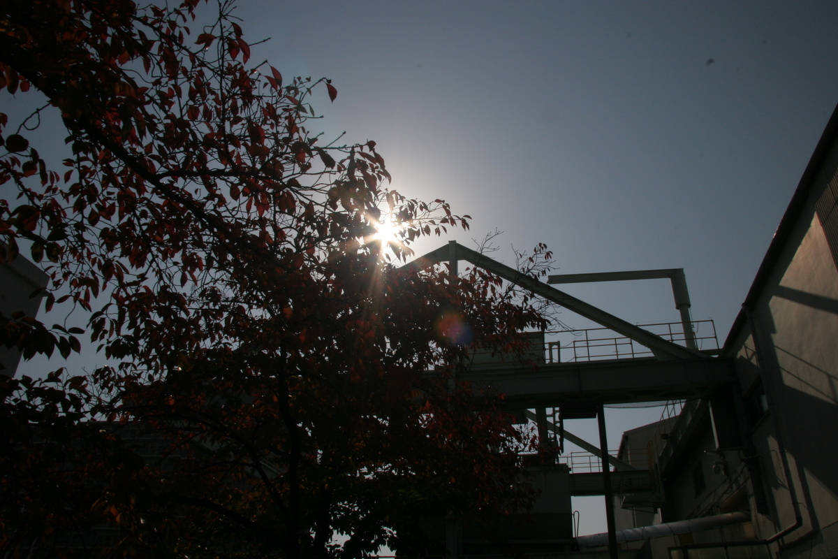 f:id:pakira2:20211121224500j:plain