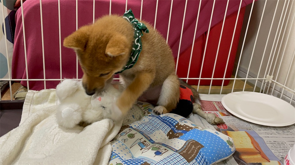 f:id:pakira2:20220403221343j:image f:id:pakira2:20220403221343j:image