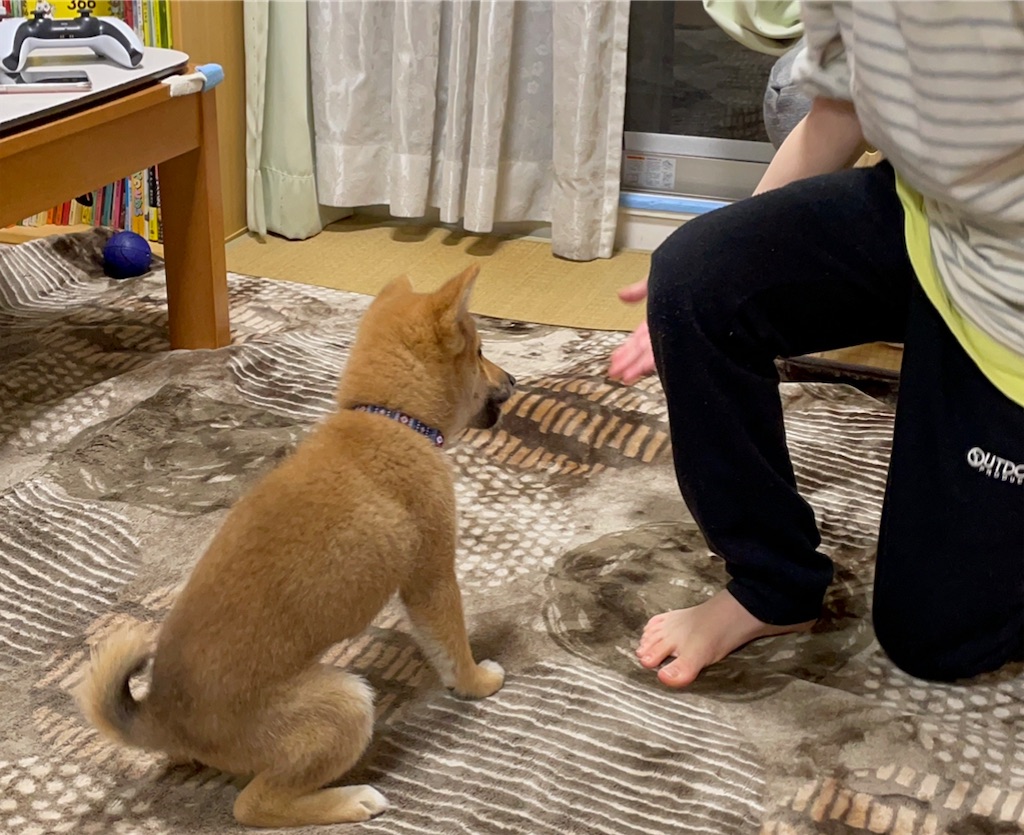 f:id:pakira2:20220405214355j:image