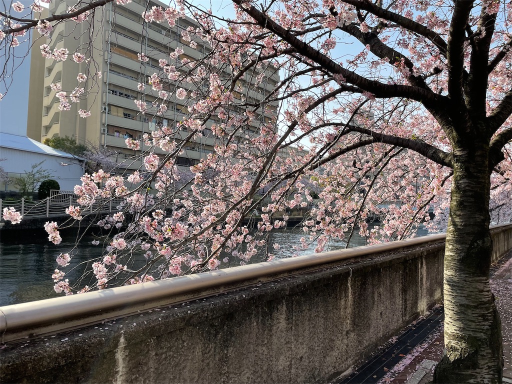 f:id:pakira2:20220407221059j:image