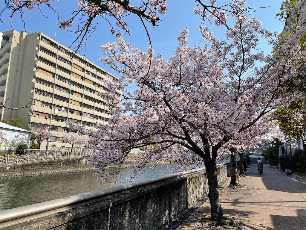 f:id:pakira2:20220407221218j:image