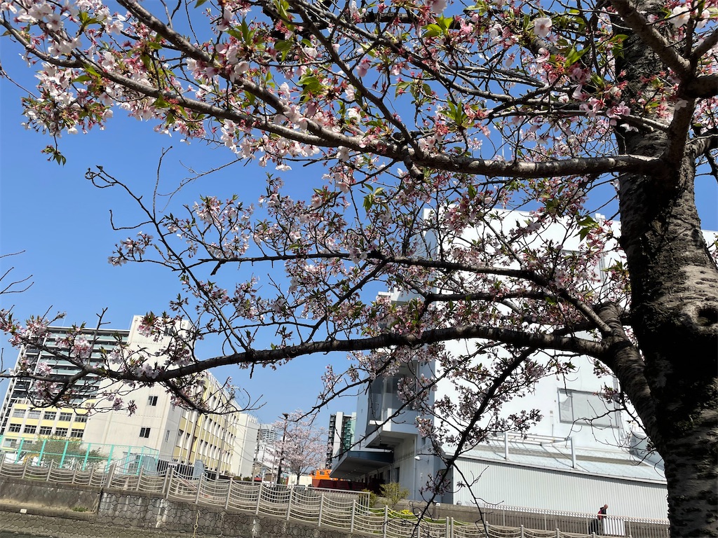 f:id:pakira2:20220407221221j:image