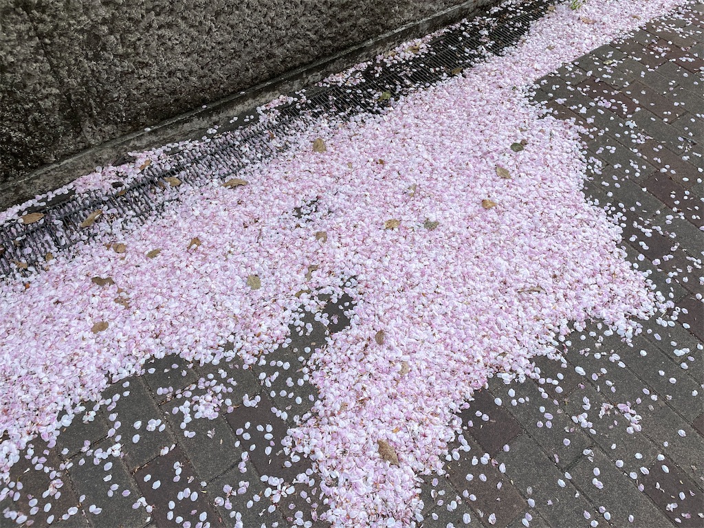 f:id:pakira2:20220407221333j:image