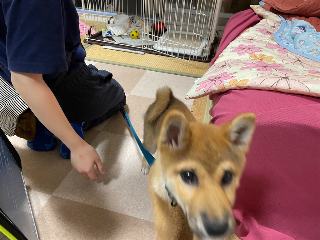 f:id:pakira2:20220413230915j:image