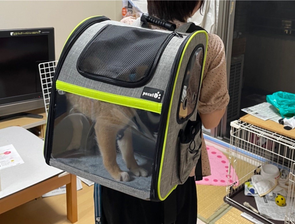 f:id:pakira2:20220413230928j:image