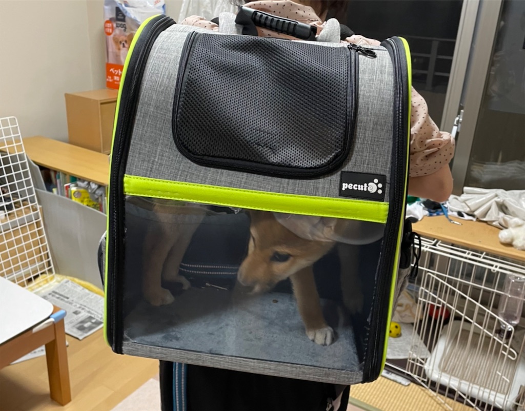 f:id:pakira2:20220413230934j:image