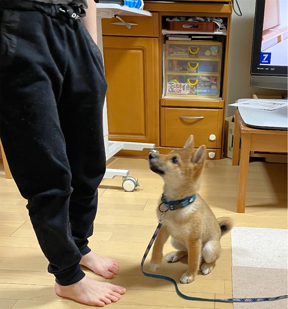 f:id:pakira2:20220416221936j:image f:id:pakira2:20220416221936j:image