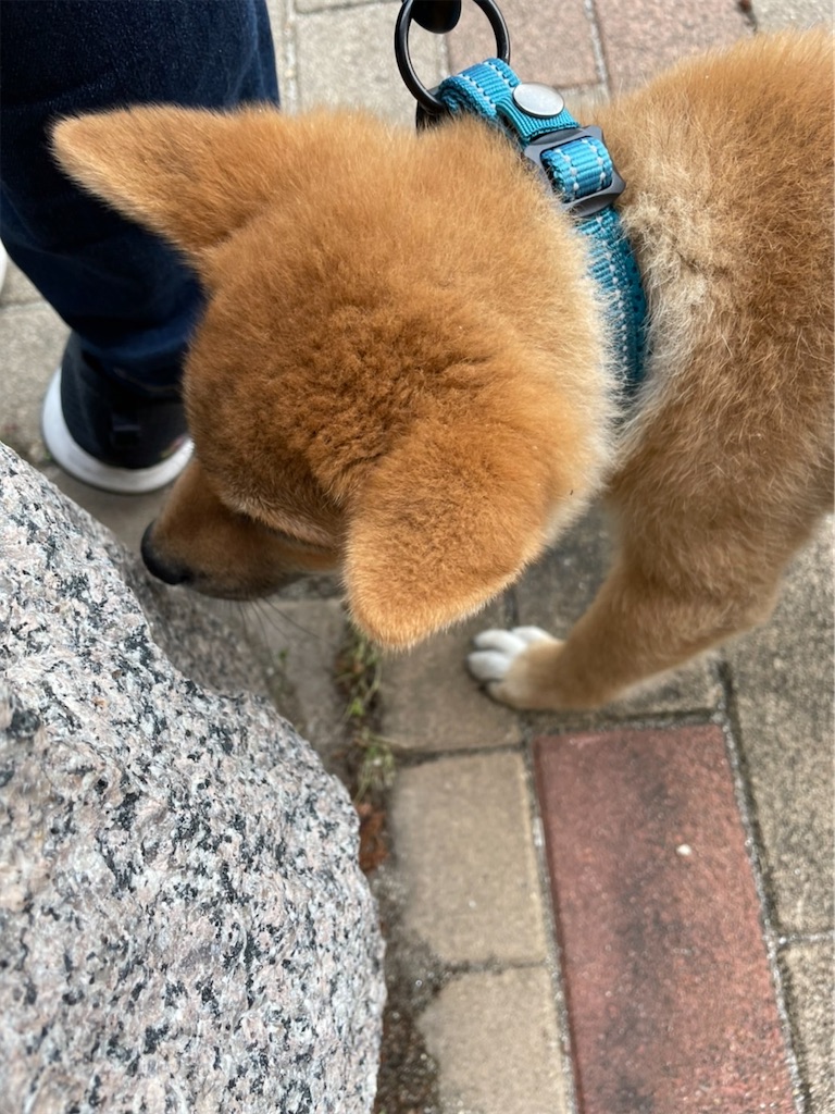 f:id:pakira2:20220419230338j:image f:id:pakira2:20220419230338j:image