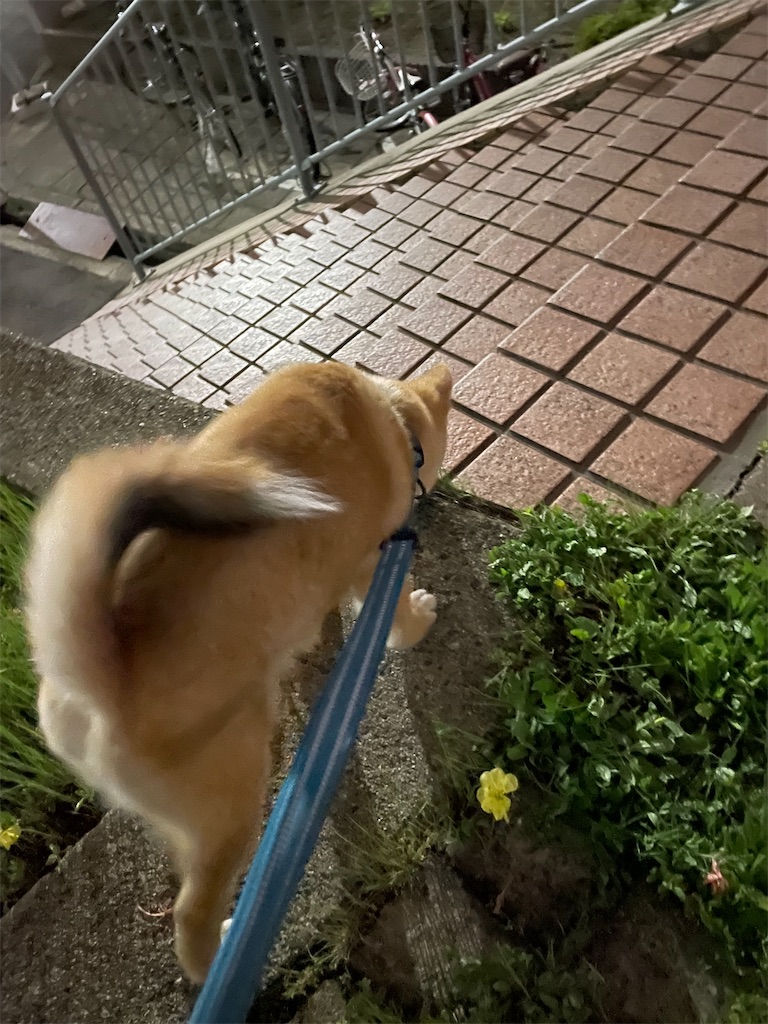 f:id:pakira2:20220427213302j:image f:id:pakira2:20220427213302j:image