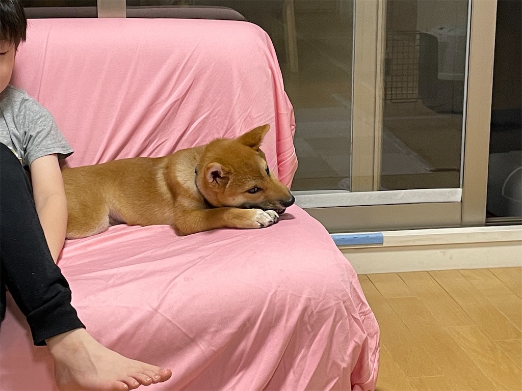 f:id:pakira2:20220512221600j:image