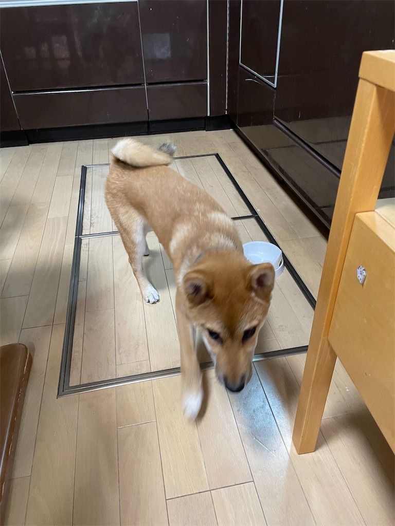 f:id:pakira2:20220603220621j:image