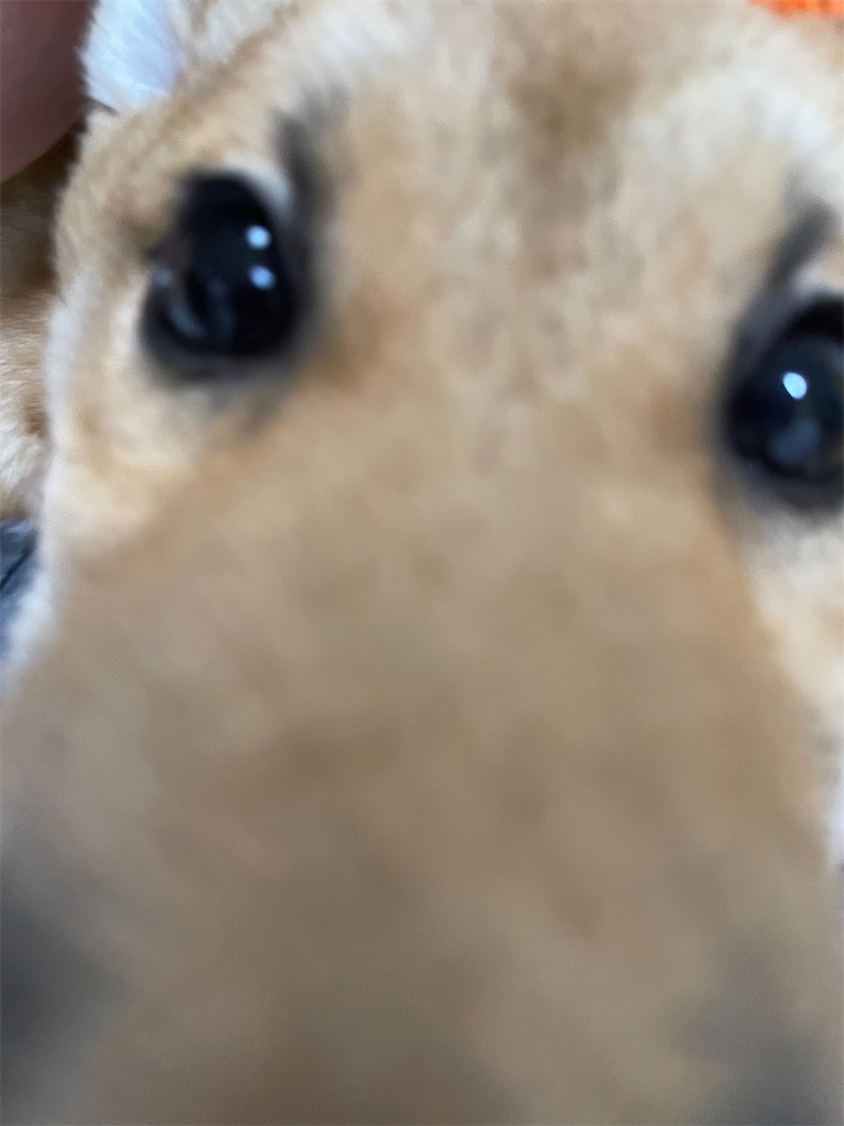 f:id:pakira2:20220603220637j:image