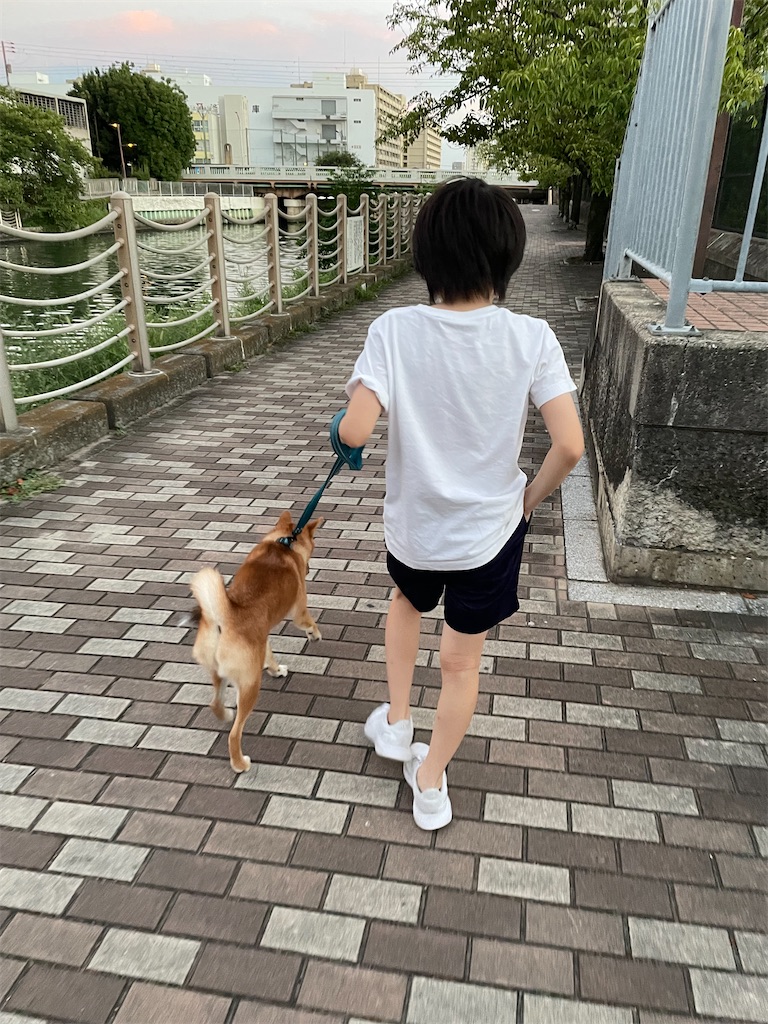 f:id:pakira2:20220828215019j:image f:id:pakira2:20220828215019j:image